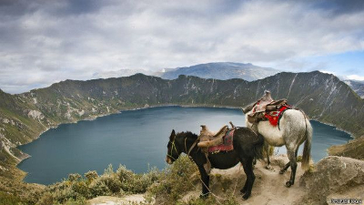 Si en el món rural de l'Equador escassegen els bancs, la penetració del mòbil és pràcticament d'un 100%. Per això el seu sistema es gestiona amb mòbils. Si en el món rural de l'Equador escassegen els bancs, la penetració del mòbil és pràcticament d'un 100%. Per això el seu sistema es gestiona amb mòbils.