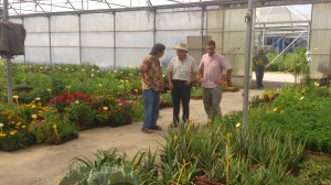 Josep Pàmies amb visites.