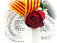 Llibre, rosa i senyera.