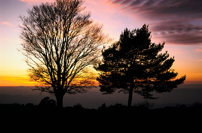 Puesta de Sol en el Montseny. Puesta de Sol en el Montseny.